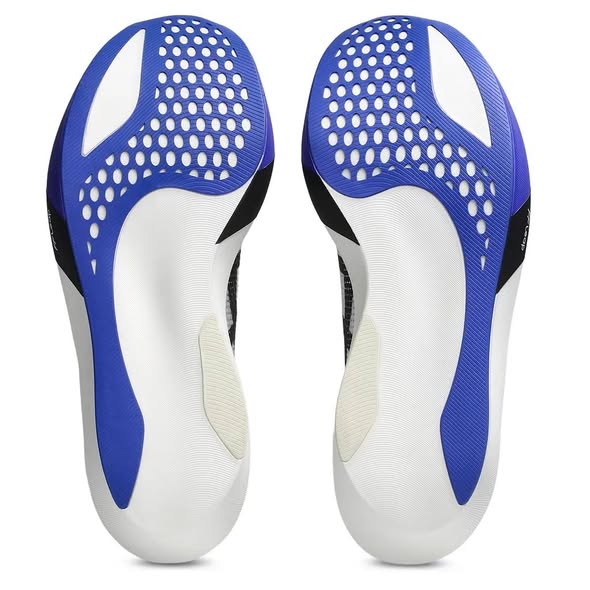 Asics Metaspeed Sky Tokyo