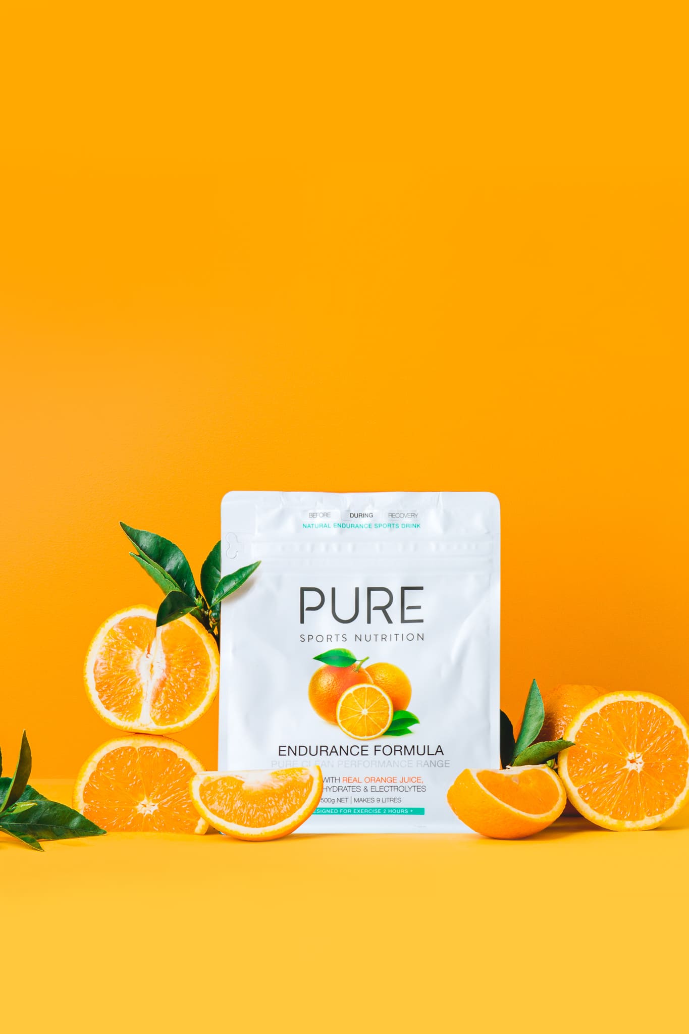 PURE Endurance Formula 500g