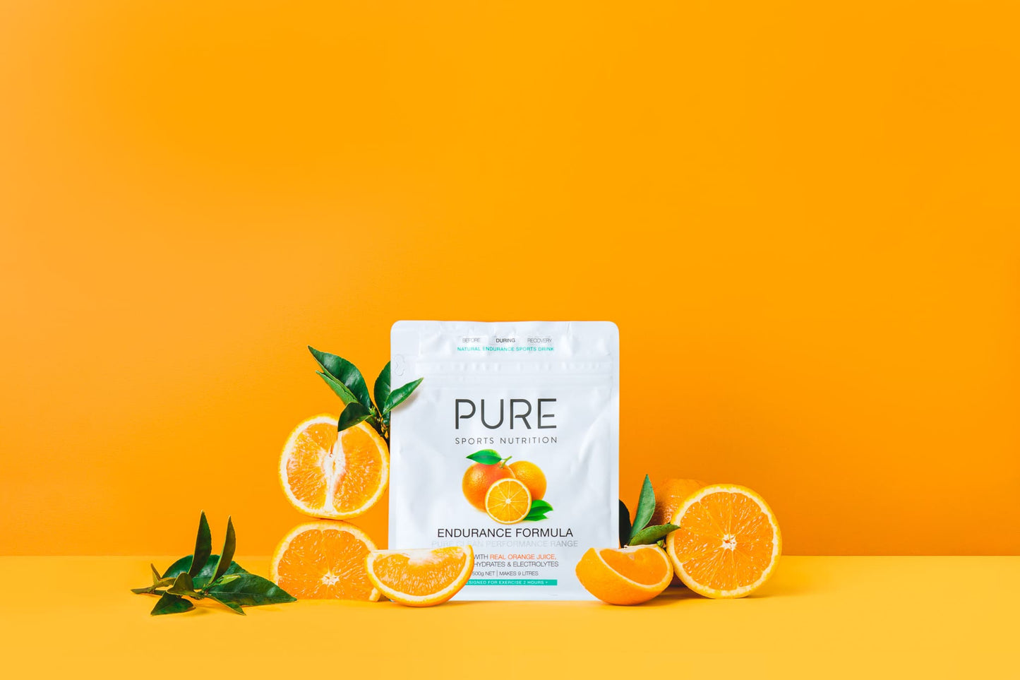 PURE Endurance Formula 500g