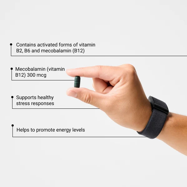 PILLAR Ultra B Active- Engery Production